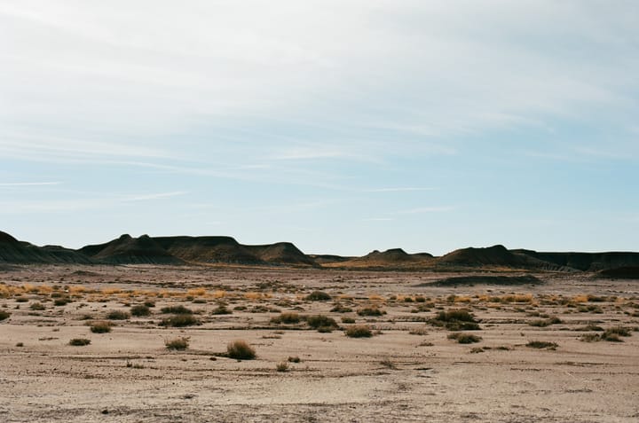 Film photograph of a desert landscape. The sky is light blue with some wispy white clouds. Hills and cliffs off in the distance. Foreground has desert sand and plants